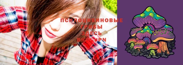 амфетамин Новодвинск