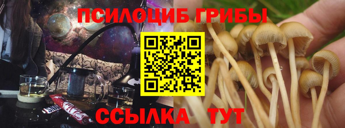 Оренбург  Галлюциногенные грибы Magic Shrooms  Вход с VPN 